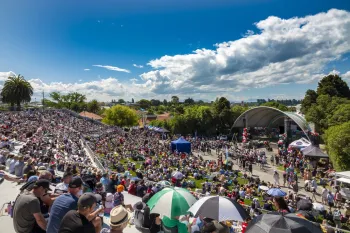 Brian High Photography