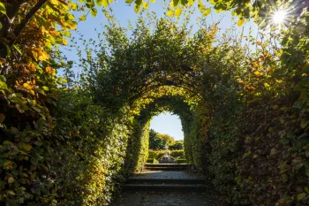 Brian High Photography