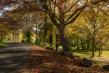 Brian High Photography