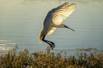 Brian High Photography