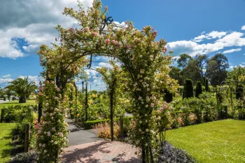 Brian High Photography