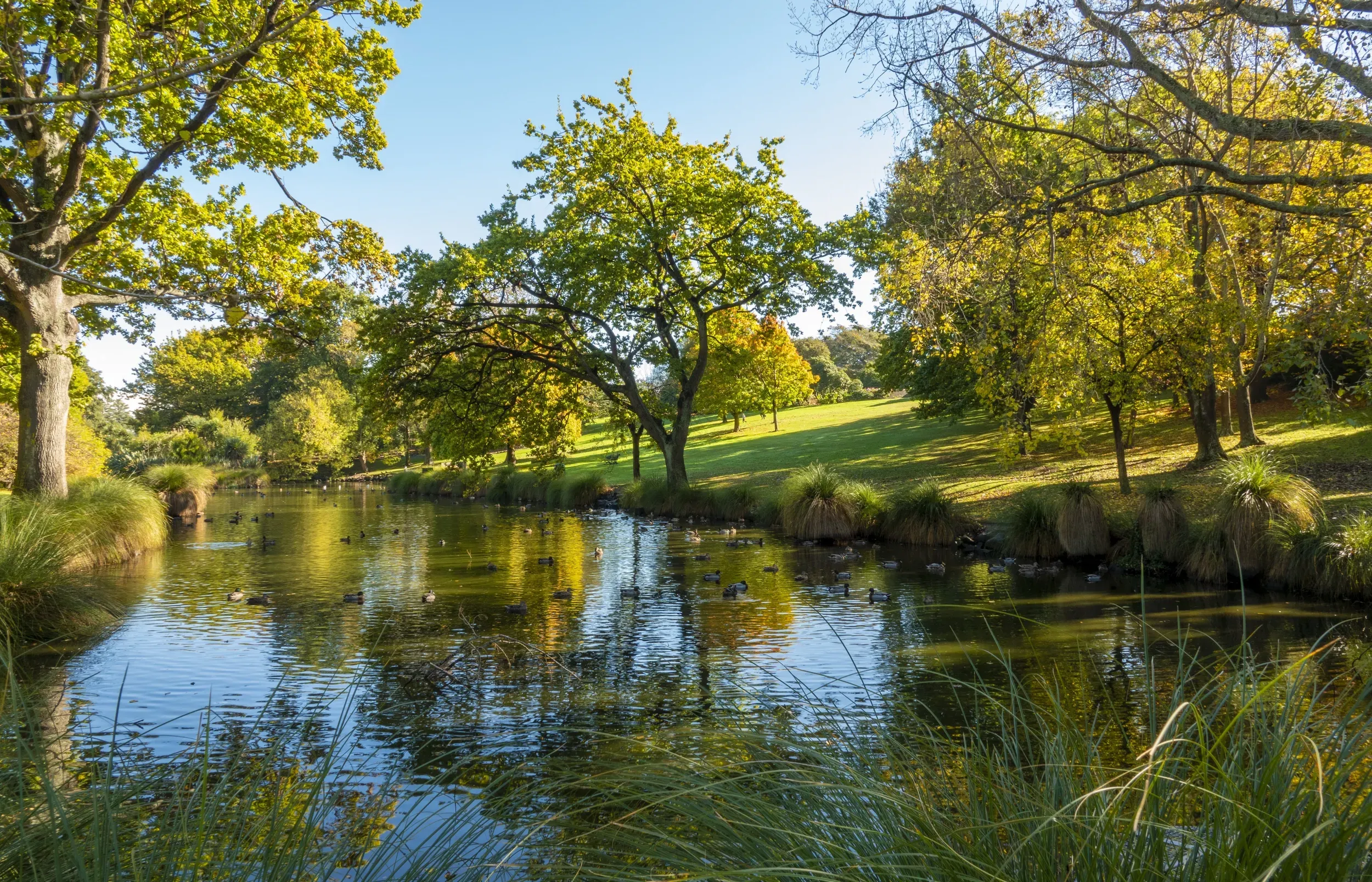 Timaru-Brian-High-Photography-5