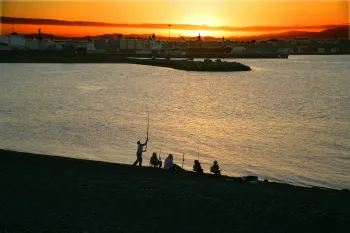 Brian High Photography