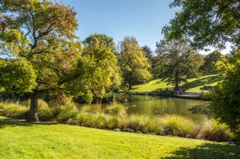 Brian High Photography