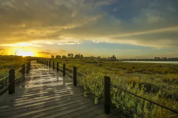 Brian High Photography