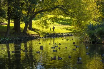 Brian High Photography